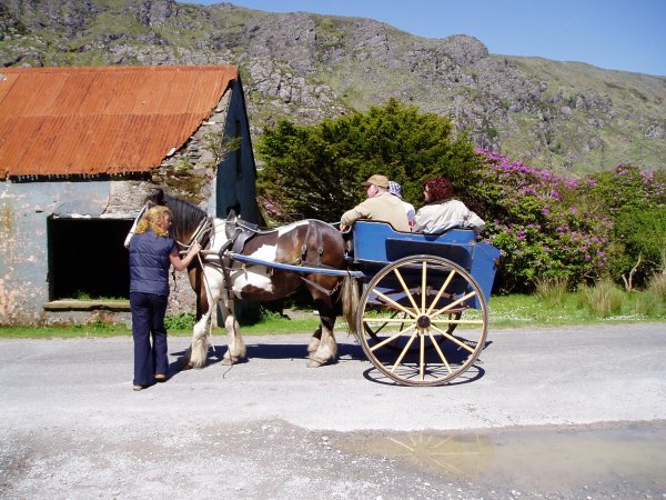 A pony and cart, just like the postcards!